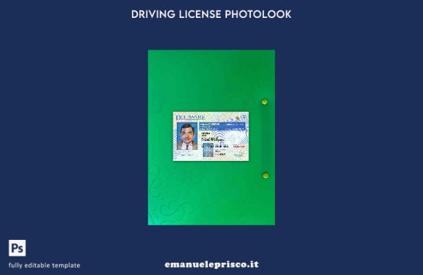 modello FRONTALE photolook versione patente di guida USA Delaware stile verifica